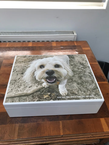 Pet Memory Box with Photo  - A4 Box 335 x 260 x 100 mm
