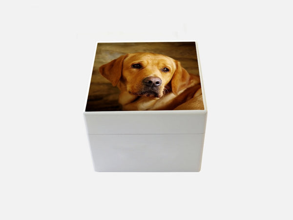 Small white wooden box with your own pet photo(s)12.5 x 12.5 x 10 cm