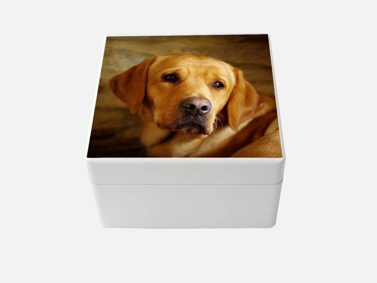 Medium white wooden box with your own pet photo(s)16 x 16 x 10 cm