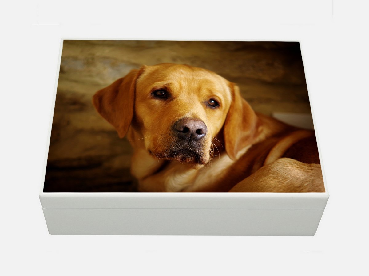Large A4 size white wooden box with your own pet photo(s) 33.5 x 26 x 10 cm