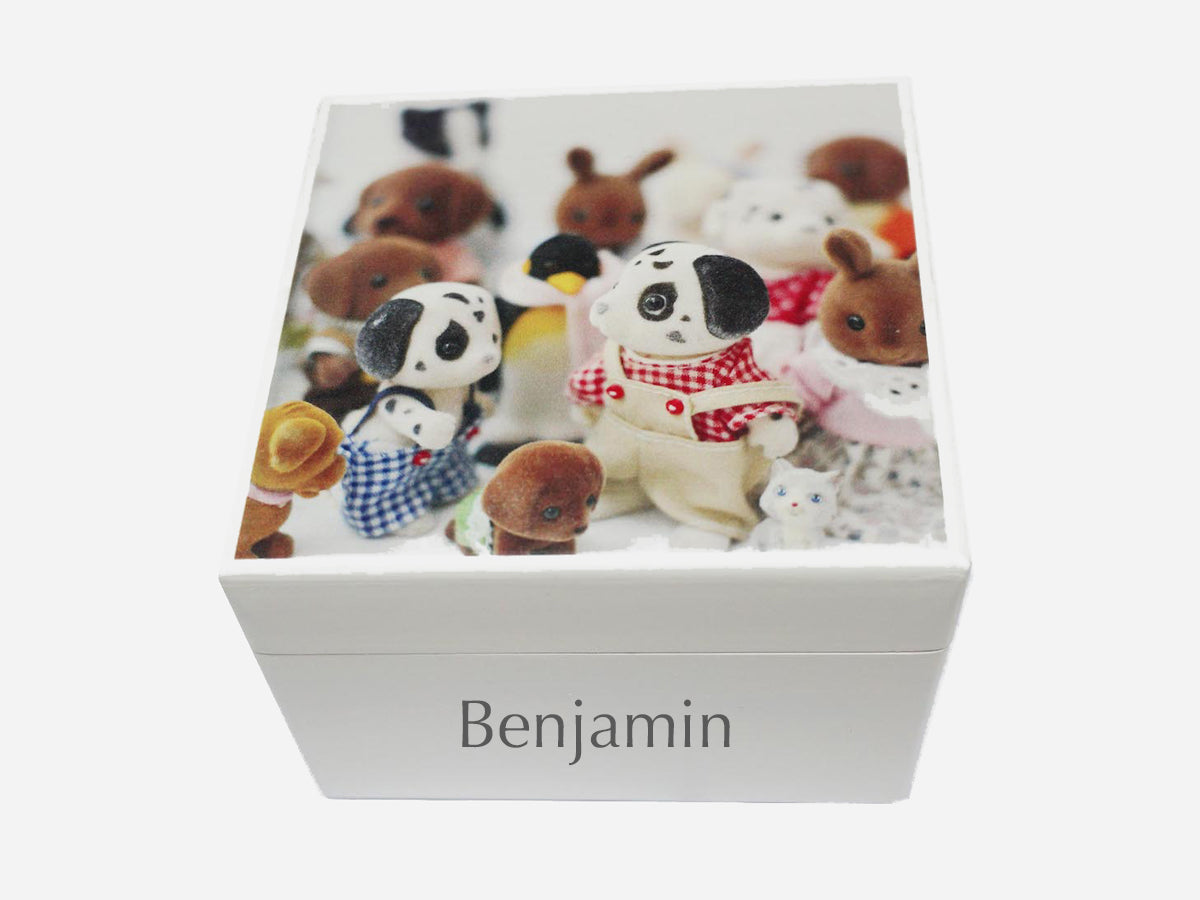 Personalised Gift box Sylvanians  - Square wood box